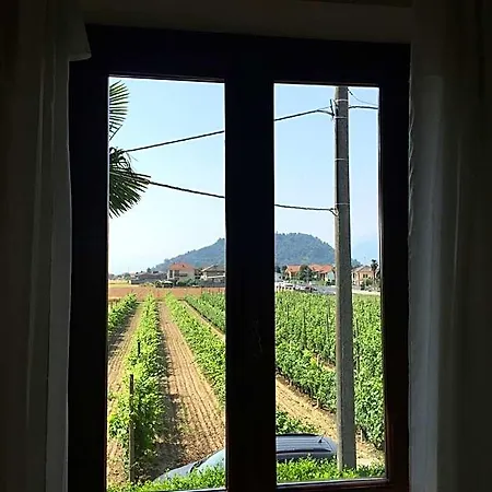 Bed & Breakfast Le Rose